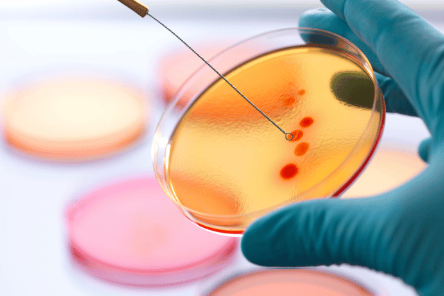 pathology lab in hinjewadi